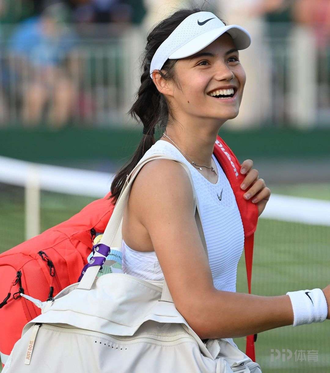 但如果不坚 但如果不坚