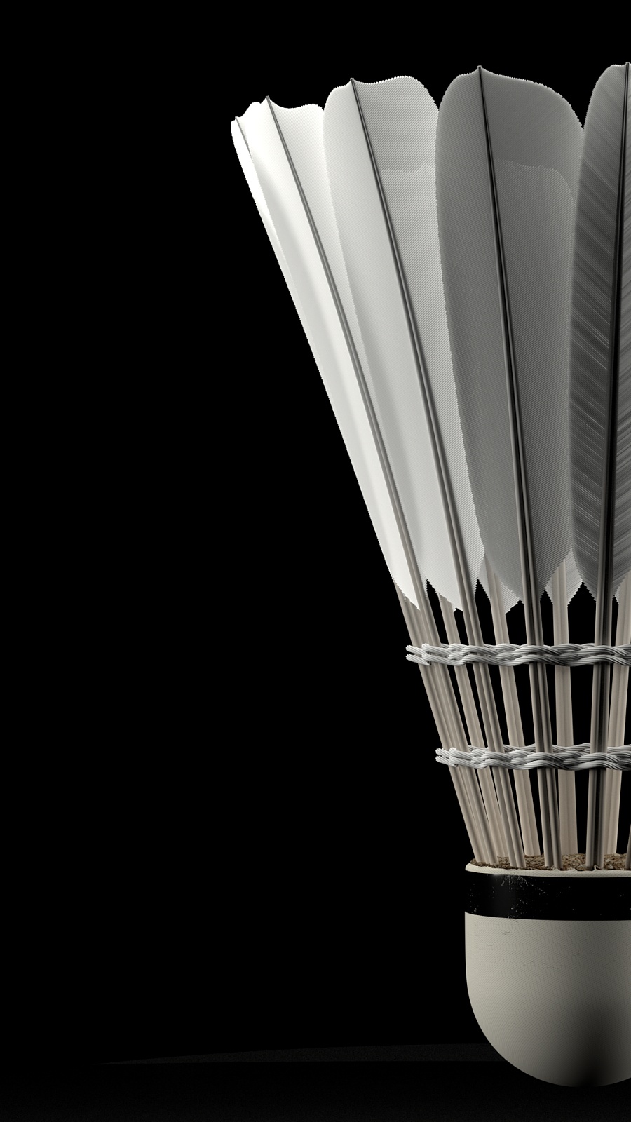 洛普手中一 洛普手中一